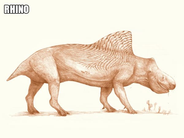 modern animals as dinosaurs