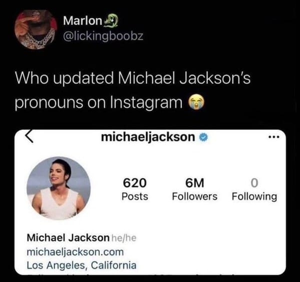 accidental jokes michael jackson pronouns instagram