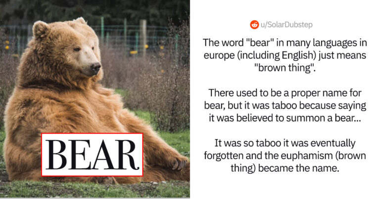 45 Fascinating Word Origins You Can Pretend You Already Knew