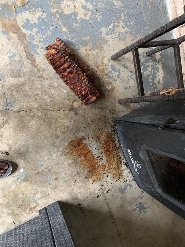 well that sucks dropped rack of ribs on floor