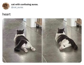 30 Funny Cat Tweets That'll Bring Some Joy To Your Timeline