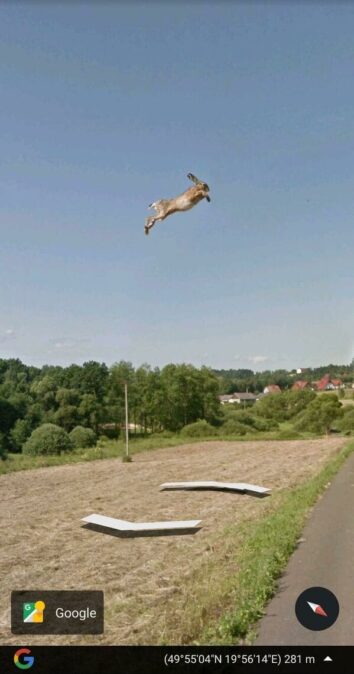 25 Google Maps Oddities People Have Stumbled Upon