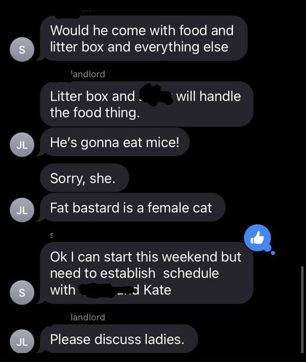 Landlord "Hires" Cat To Tackle Mice Problem In Hilarious Text Exchange (22 Pics) - Jarastyle