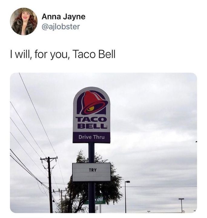 taco bell meme - try sign, i will for you taco bell