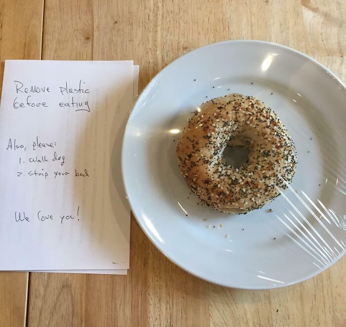 wholesome parent - morning bagel