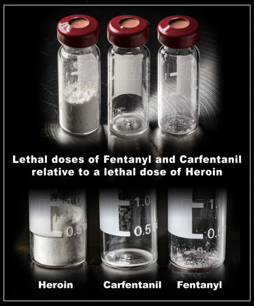 interesting posts - lethal doses of drugs
