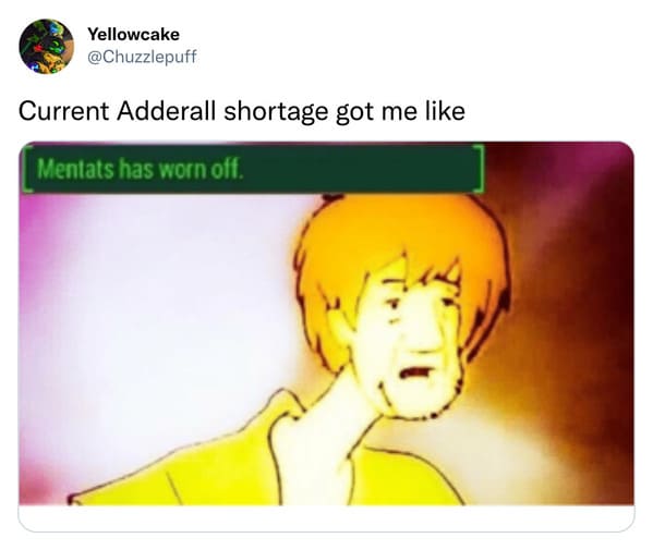 adderall shortage memes - current adderall shortage got me like mentats have worn off - shaggy fallout meme