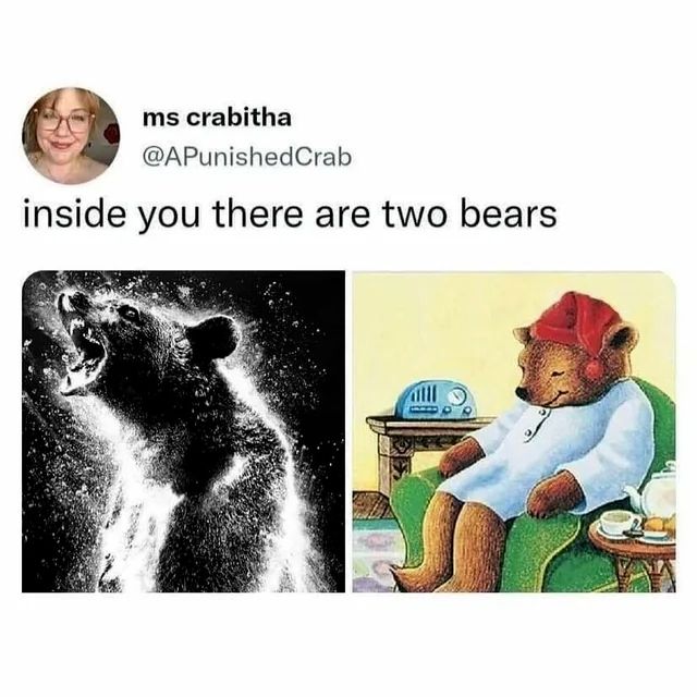 animal meme - inside you there are two bears