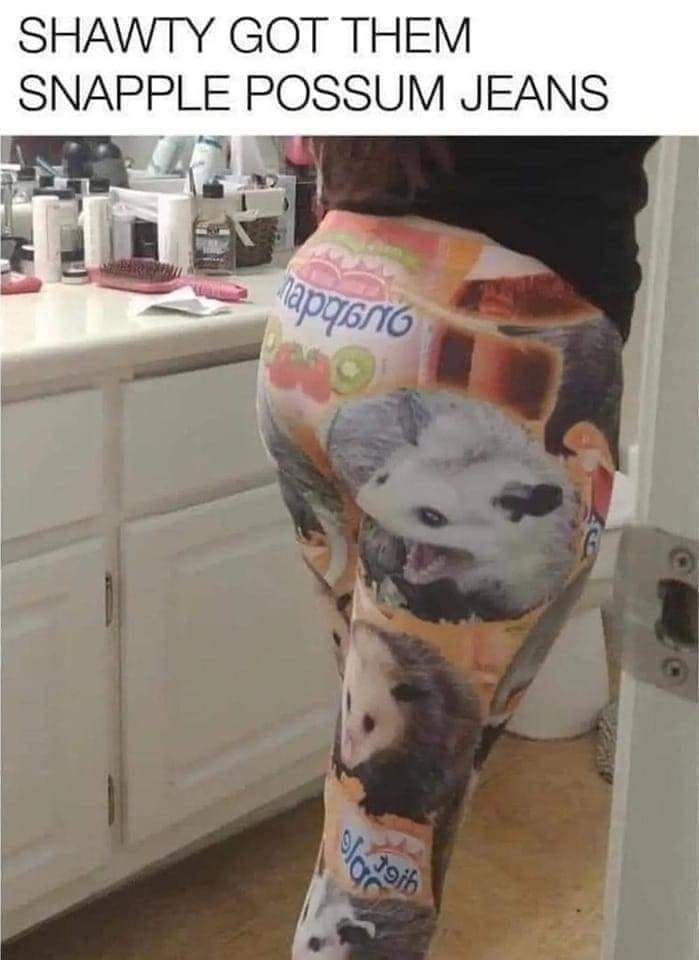 animal meme - snapple possum jeans