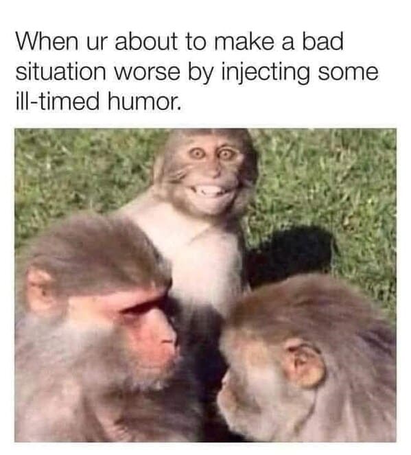 unhinged animal memes - animal ur about make bad situation worse by injecting some ill timed humor