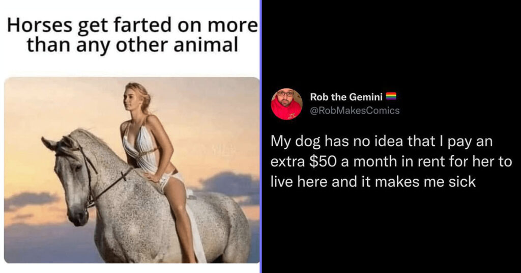 animal memes featured image - farting on horse and pet rent