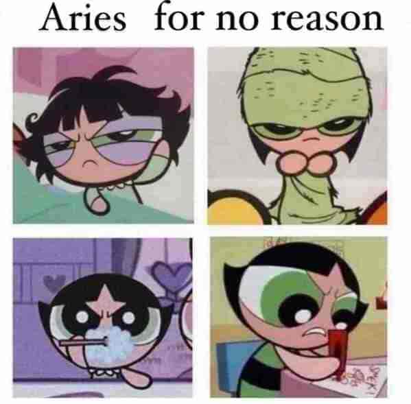 aries season memes - aries for no reason - powerpuff girls