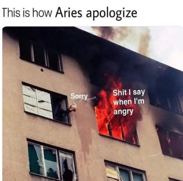 aries season memes - this is how aries apologize