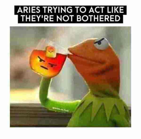 aries season memes - aries trying to act like they're not bothered