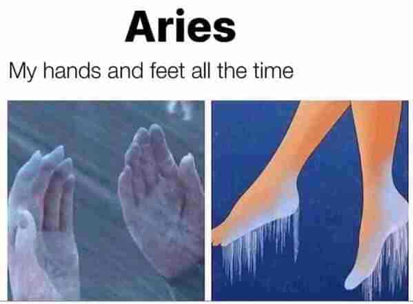 aries season memes - my hands and feet all the time