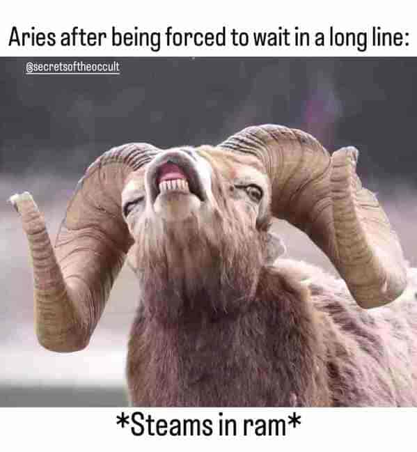 aries season memes - aries after being forced to wait in a long line steams in ram