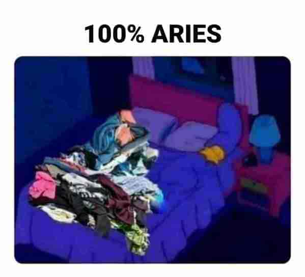 aries season memes - 100% aries