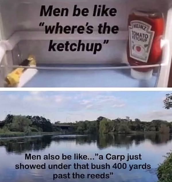 cooking memes - boys who can cook instagram
