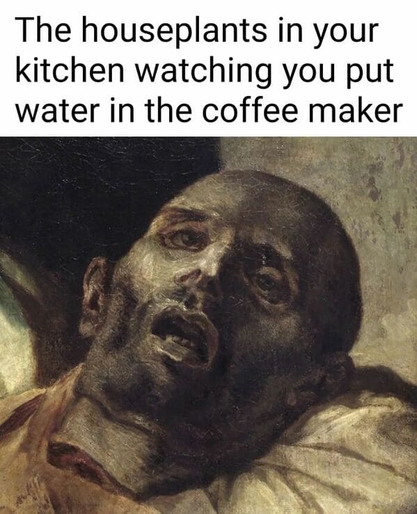 classical art memes - the houseplants in your kitchen watching you put water in the coffee maker