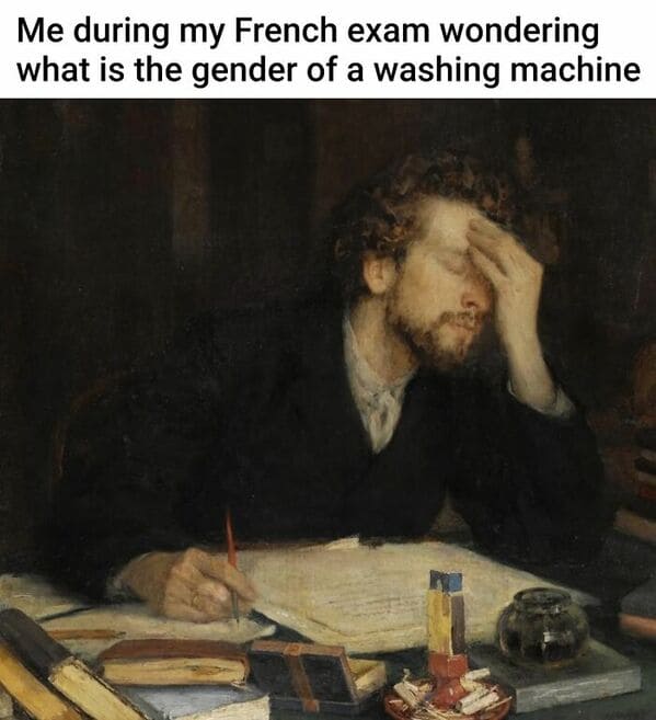 classical art memes - me during my french exam wondering what is the gender of a washing machinne