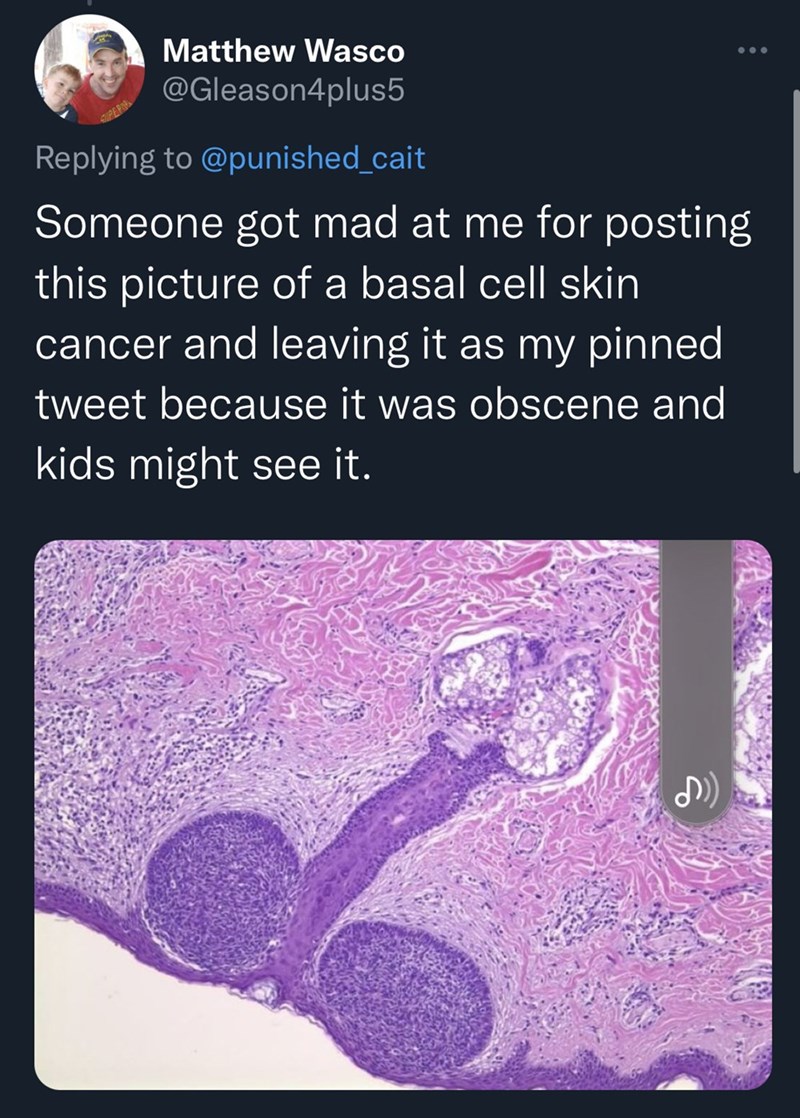 funniest thing people gotten mad about twitter - penis cell