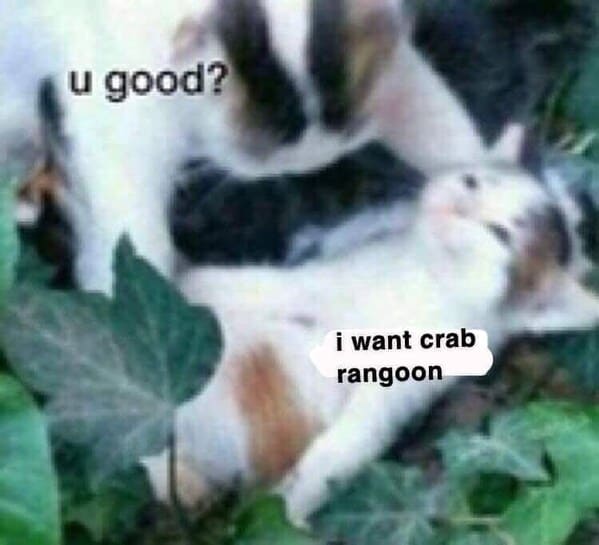 crab rangoon memes - u good? I want crab rangoon