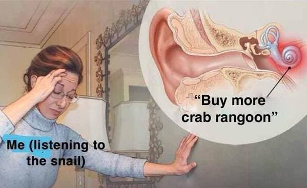 crab rangoon memes - listening to the snail