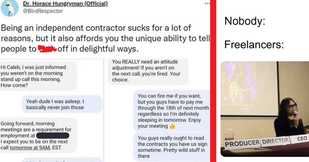 Freelancer Memes