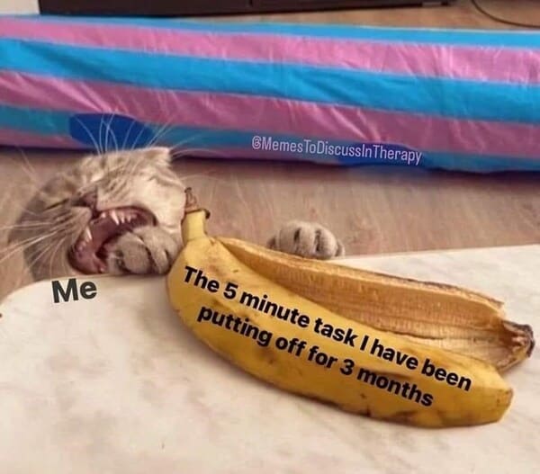 funny adulting memes - cat banana meme