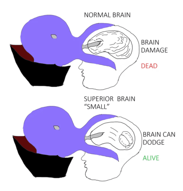 funny dnd meme - superior small brain