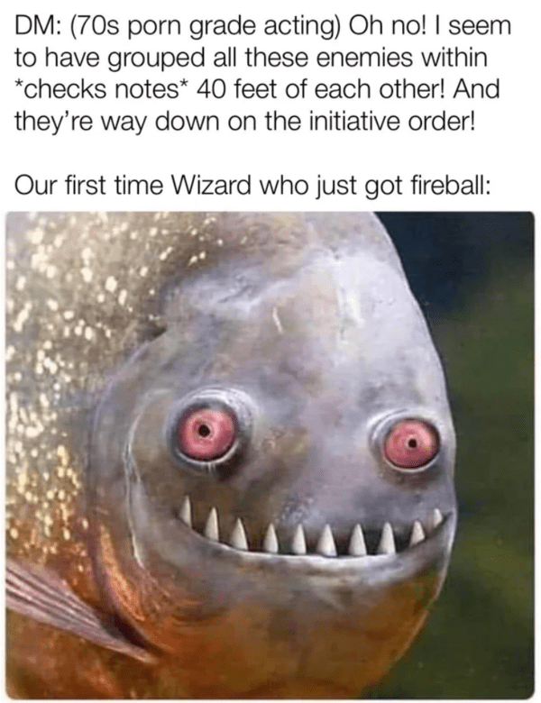 funny dnd meme - wizard fireball joke