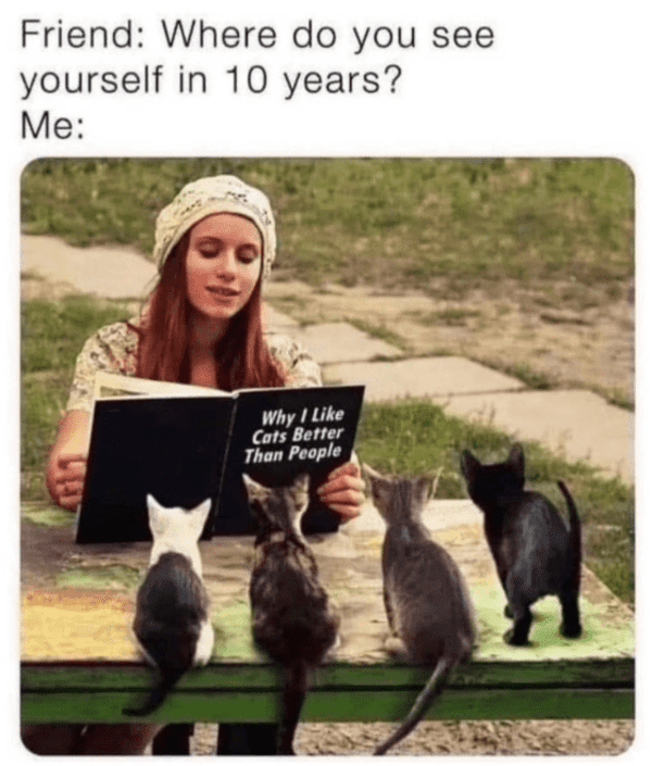 funny introvert memes - cat lady