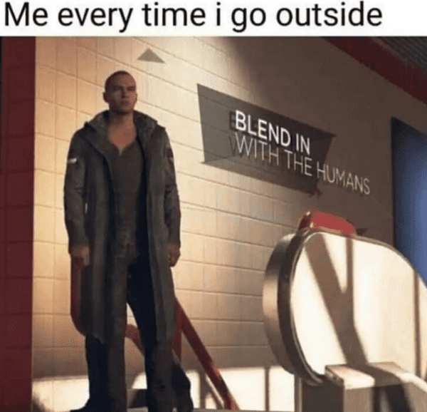 funny introvert memes - blend in