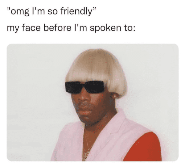 funny introvert memes - my face
