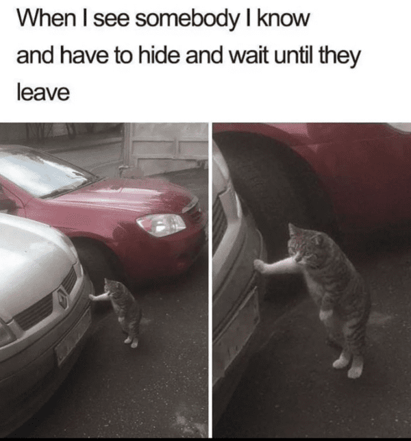 funny introvert memes - cat mechanic meme