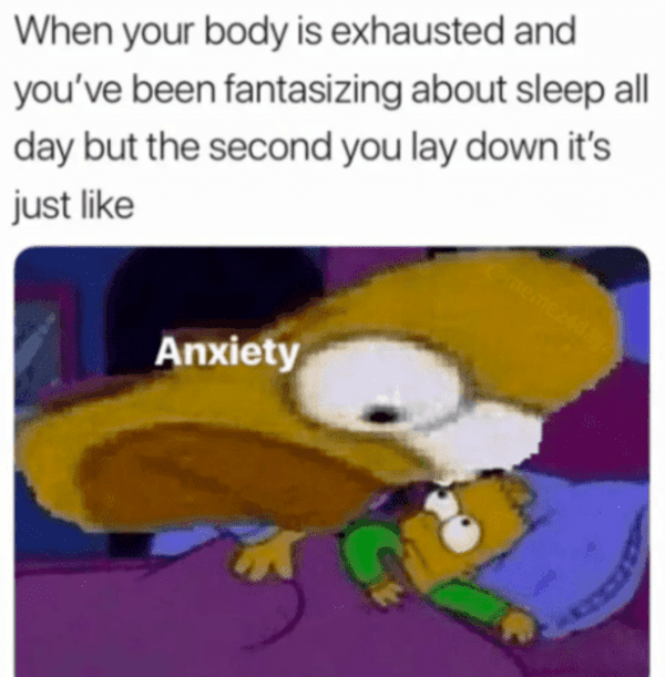 funny introvert memes - anxiety homer