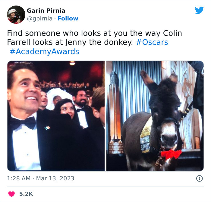 oscars meme 2023 - jenny the donkey