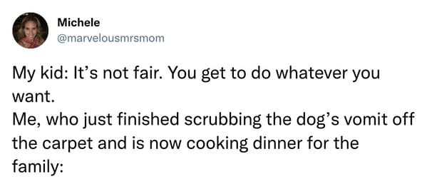 best parenting tweets march 2023 - me scrubbing dog vomit off the carpet now cooking