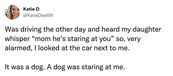 best parenting tweets march 2023 - dog was staring at me in the car