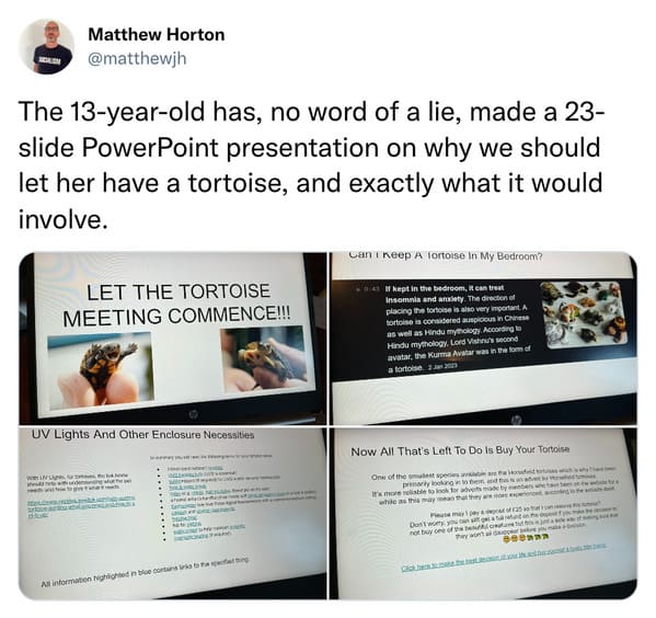 best parenting tweets march 2023 - PowerPoint presentation on why we should have a tortise
