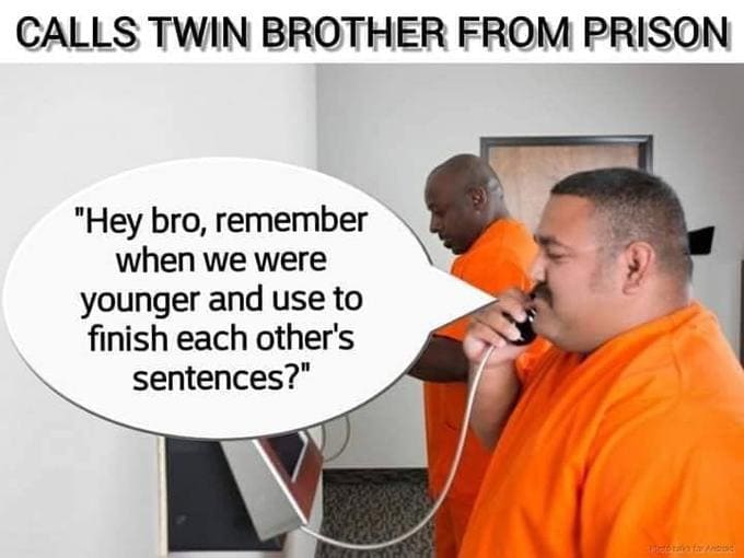 funny pun - twins life sentence