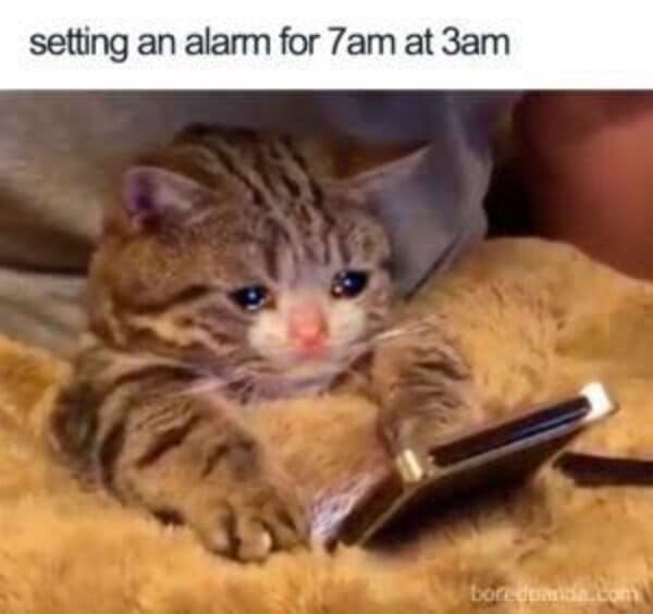funny struggle memes - set alarm