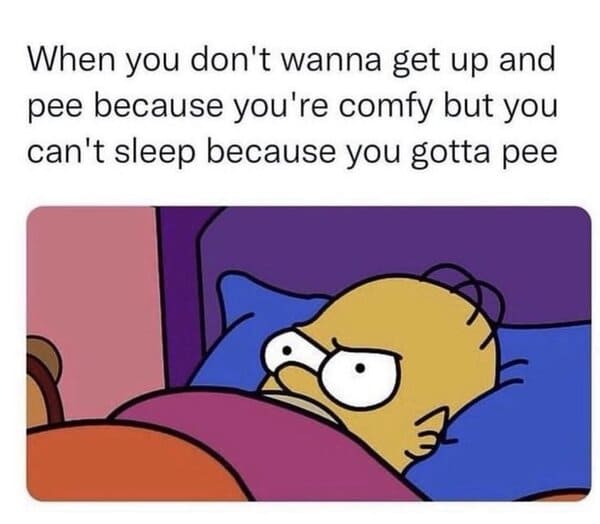 30 Funny Struggle Memes For Anyone Going Through It