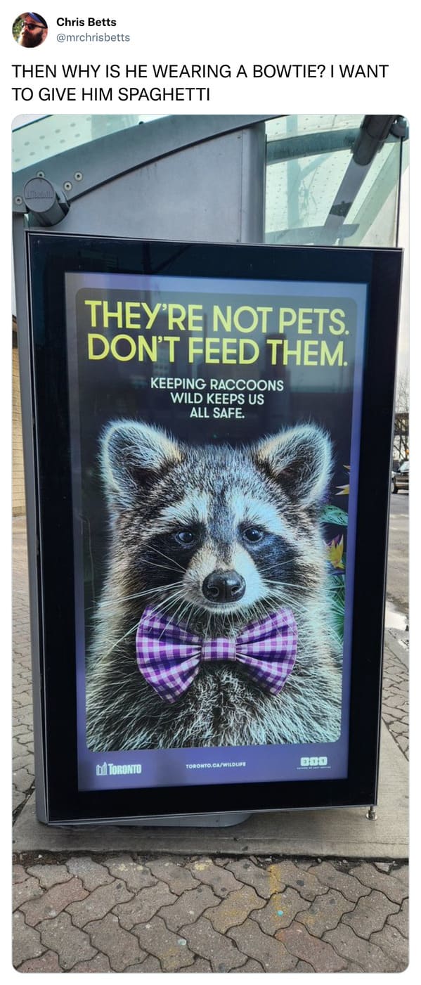 funniest tweets march 25 - raccoon pets