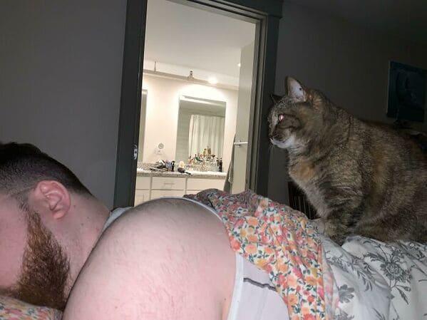 what's wrong with your cat - My Cat Sits On And Stares At My Boyfriend When We Sleep