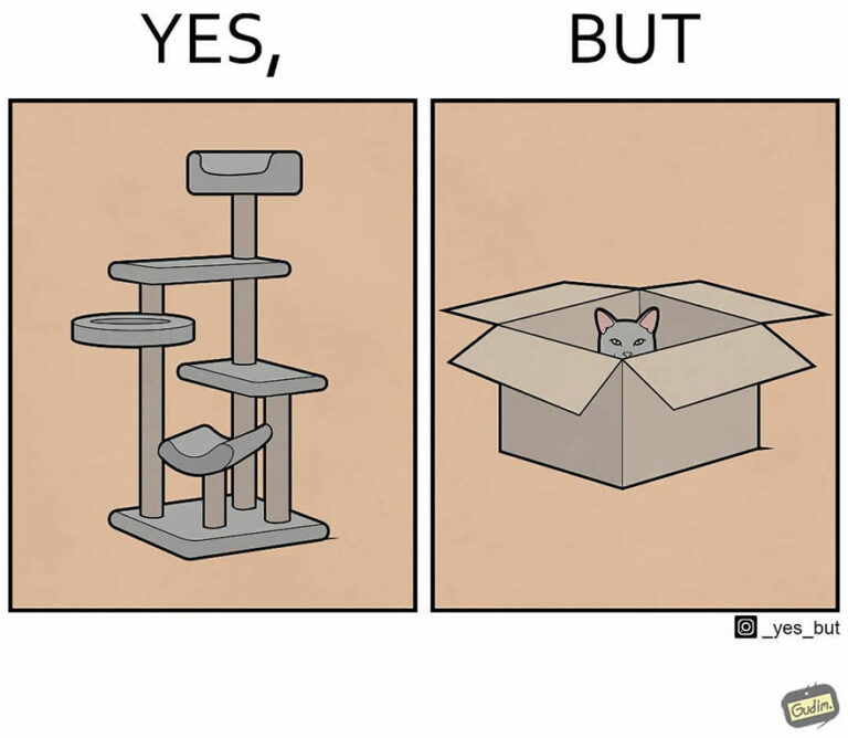 50 "Yes But" Comics That Show The Same Situation From Two Opposite Sides