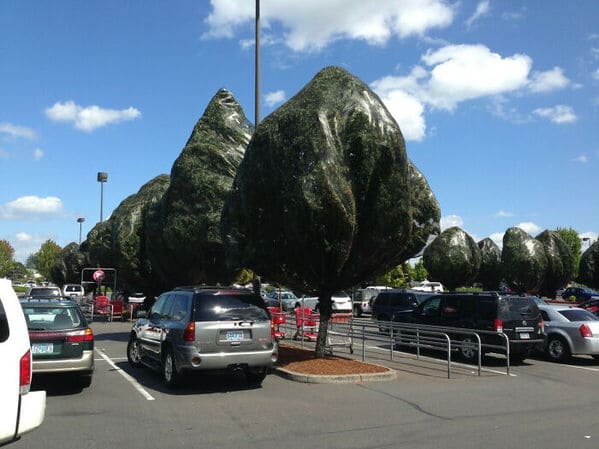 glitch in the matrix images - When The Trees Don't Render