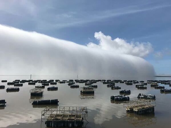 glitch in the matrix images - This Wall Of Fog Rolling In At My Work