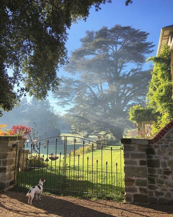 glitch in the matrix images - Took This Photo Recently Of The Magnificent 300-Year-Old Cedar Tree In The Garden Where I Work. Somehow It Looks Unreal