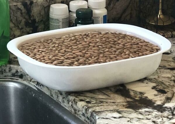 glitch in the matrix images - Light Diffraction Made My Beans Look Like They Were A Picture Of Beans Sitting In A Dish Or A Really Bad Render